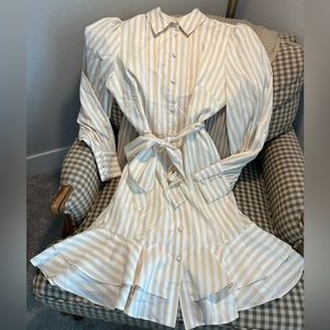 Alex Marie Silky Striped Shirt Dress | NWT